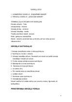 Konspekts 'Vekseļu izmantošanas iespējas', 4.