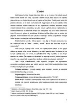 Referāts 'Komercdarbības ētika uzņēmumā', 3.