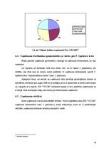 Referāts 'Komercdarbības ētika uzņēmumā', 19.