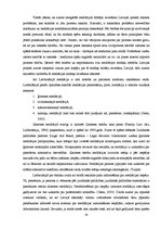 Referāts 'Mediācijas tiesiskie un praktiskie aspekti', 24.