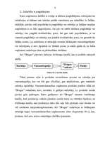 Referāts 'Mārketinga pasākumu kompleksa analīze a/s “Drogas”', 6.