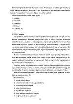 Referāts 'Ruiša pūķgalves pavairošana ar in vitro metodi', 11.