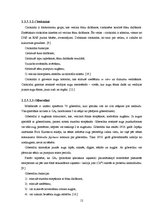 Referāts 'Ruiša pūķgalves pavairošana ar in vitro metodi', 12.