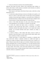 Referāts 'Darba līgums', 5.