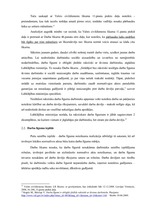 Referāts 'Darba līgums', 6.