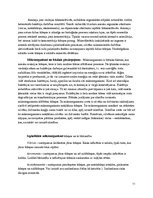 Referāts 'Grobiņas apkārtējo ūdeņu piesārņotība', 11.