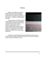 Referāts 'Grobiņas apkārtējo ūdeņu piesārņotība', 17.