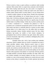 Referāts 'Azartspēles', 9.
