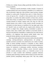 Referāts 'Azartspēles', 15.