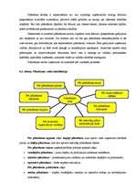 Konspekts 'Uzņēmuma darbības plānošana', 4.