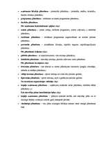 Konspekts 'Uzņēmuma darbības plānošana', 5.