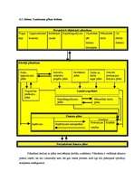 Konspekts 'Uzņēmuma darbības plānošana', 8.