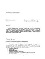 Paraugs 'Divstāvu individuālā dzīvojamā ēka Salacgrīvas novada Liepupes pagastā', 3.