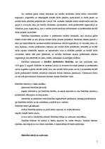 Referāts 'Sociālo darbinieku biedrība', 2.