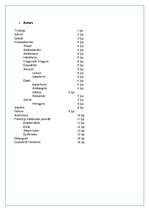 Referāts 'Filosofija Senajā Grieķijā', 2.