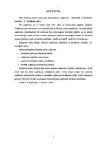 Diplomdarbs 'Uzņēmuma SIA „X” stratēģiskais plāns', 2.