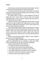 Diplomdarbs 'Uzņēmuma SIA „X” stratēģiskais plāns', 5.