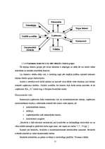 Diplomdarbs 'Uzņēmuma SIA „X” stratēģiskais plāns', 17.