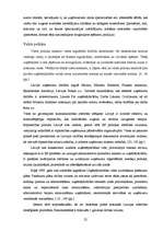 Diplomdarbs 'Uzņēmuma SIA „X” stratēģiskais plāns', 22.