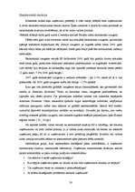 Diplomdarbs 'Uzņēmuma SIA „X” stratēģiskais plāns', 28.