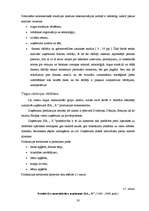 Diplomdarbs 'Uzņēmuma SIA „X” stratēģiskais plāns', 30.