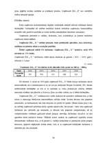 Diplomdarbs 'Uzņēmuma SIA „X” stratēģiskais plāns', 38.