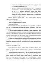 Diplomdarbs 'Uzņēmuma SIA „X” stratēģiskais plāns', 44.