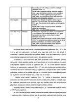 Diplomdarbs 'Uzņēmuma SIA „X” stratēģiskais plāns', 47.