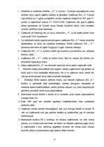 Diplomdarbs 'Uzņēmuma SIA „X” stratēģiskais plāns', 57.