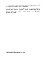 Referāts 'Pašvaldību vēlēšanu kārtība un īpatnības', 11.