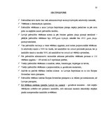 Referāts 'Pašvaldību vēlēšanu kārtība un īpatnības', 20.