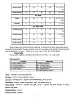 Prakses atskaite 'Pediatrijas pacienta vēsture', 5.