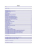 Prakses atskaite 'Uzņēmuma SIA "Anga" konkurētspējas paaugstināšanas projekts', 2.