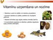 Prezentācija 'Vispārīga informācija par vitamīniem', 5.