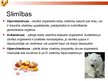 Prezentācija 'Vispārīga informācija par vitamīniem', 6.