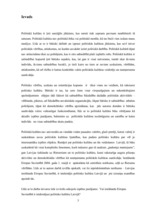 Referāts 'Latvijas iestāšanās Eiropas Savienībā: ietekme uz politisko kultūru Latvijā', 3.