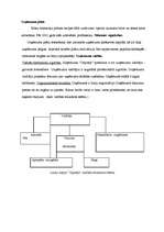 Biznesa plāns 'Lauku māja "Ceļotājs"', 5.