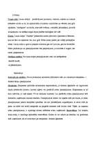 Biznesa plāns 'Lauku māja "Ceļotājs"', 7.