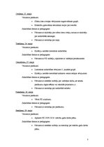 Prakses atskaite 'Metodiskās prakses mape pirmsskolā', 8.