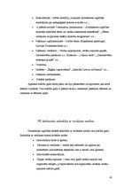 Prakses atskaite 'Metodiskās prakses mape pirmsskolā', 45.