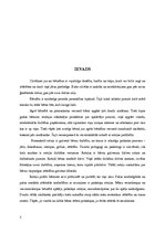 Referāts 'Pirmsskolas vecuma bērnu darbības aktivitātes līdzekļi', 3.