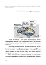 Referāts 'Pirmsskolas vecuma bērnu darbības aktivitātes līdzekļi', 23.