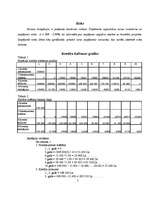 Biznesa plāns 'Biznesa plāns klubam "Dille" ar finansiāliem aprēķiniem', 5.