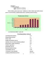 Biznesa plāns 'Biznesa plāns klubam "Dille" ar finansiāliem aprēķiniem', 6.