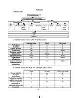 Biznesa plāns 'Biznesa plāns klubam "Dille" ar finansiāliem aprēķiniem', 18.