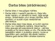 Prezentācija 'Bites', 6.
