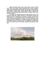 Referāts 'Piesārņojums vidē, kurā mēs dzīvojam', 5.