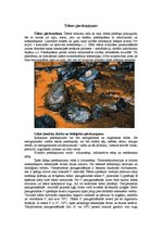 Referāts 'Piesārņojums vidē, kurā mēs dzīvojam', 6.