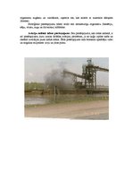 Referāts 'Piesārņojums vidē, kurā mēs dzīvojam', 7.