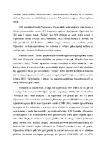 Eseja 'Vai iespējams palīdzēt Afganistānai?', 2.